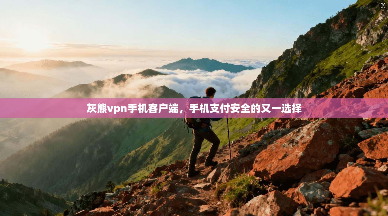 灰熊vpn手机客户端，手机支付安全的又一选择