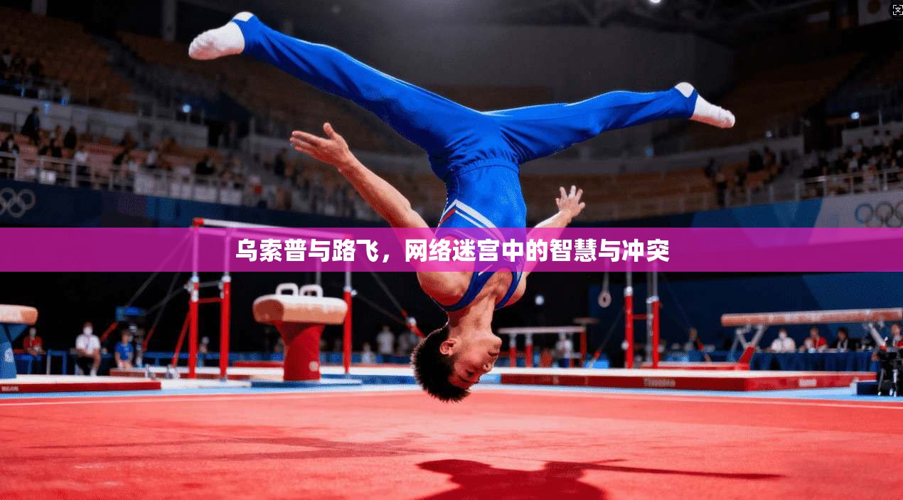 乌索普与路飞，网络迷宫中的智慧与冲突