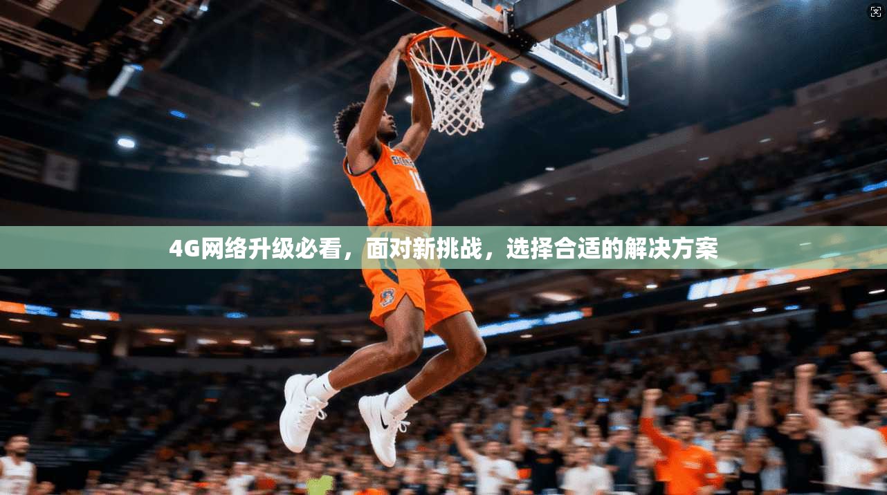 4G网络升级必看,面对新挑战,选择合适的解决方案