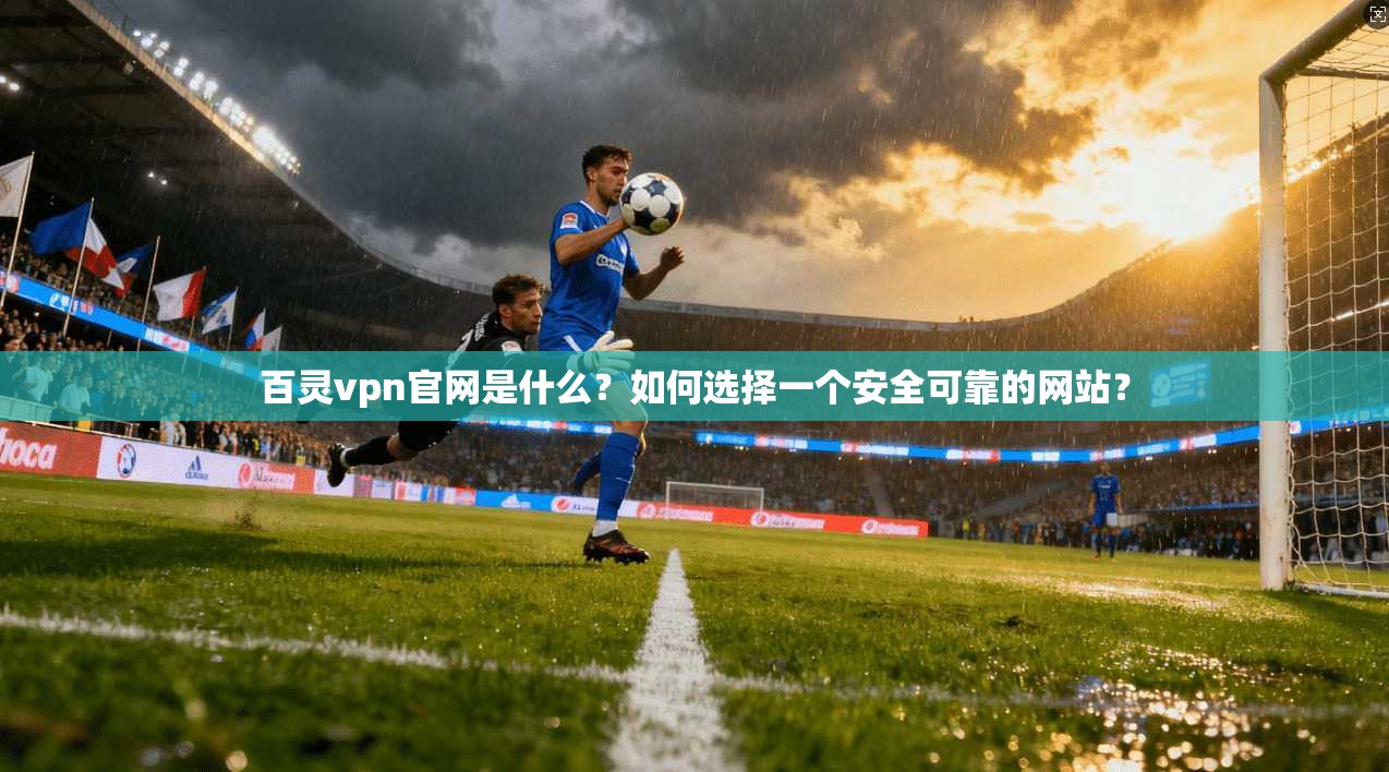 百灵vpn官网是什么?如何选择一个安全可靠的网站?