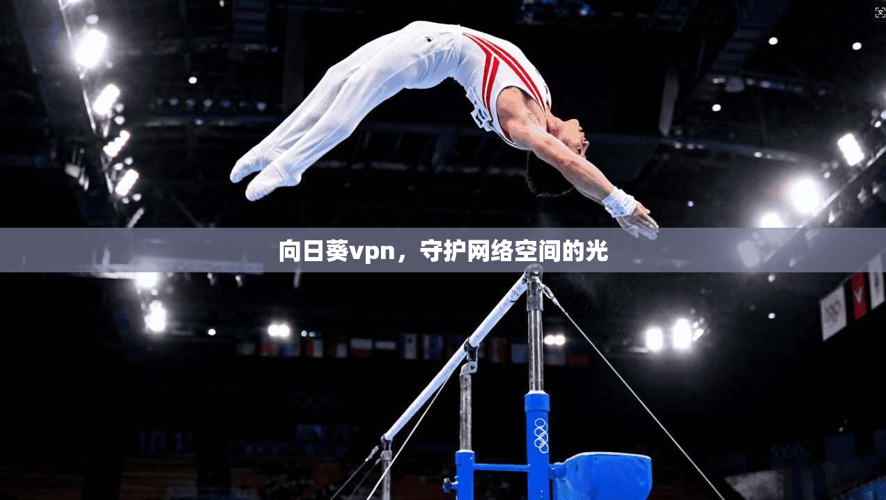 向日葵vpn,守护网络空间的光