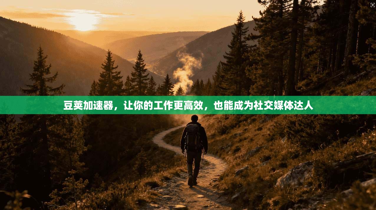 豆荚加速器,让你的工作更高效,也能成为社交媒体达人