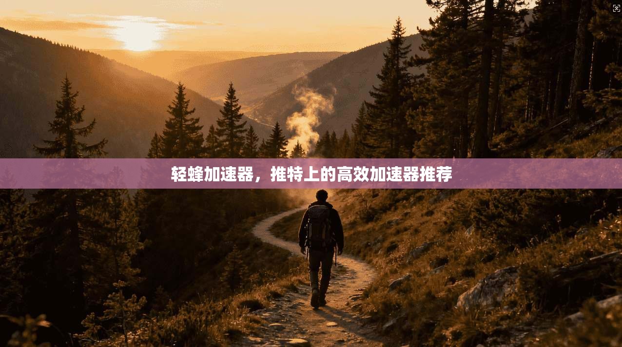 轻蜂加速器,推特上的高效加速器推荐