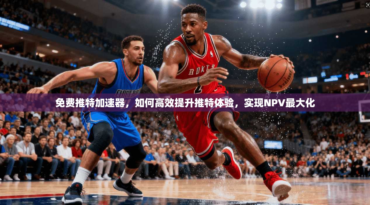 免费推特加速器,如何高效提升推特体验,实现NPV最大化