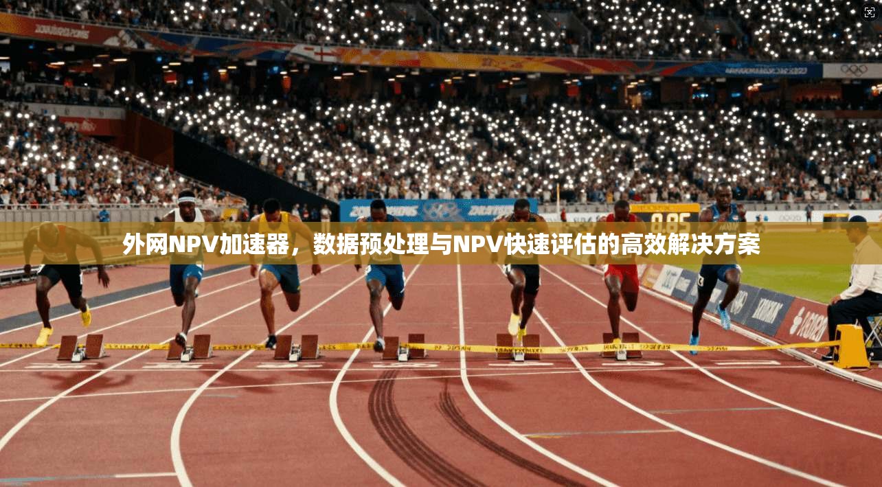 外网NPV加速器，数据预处理与NPV快速评估的高效解决方案