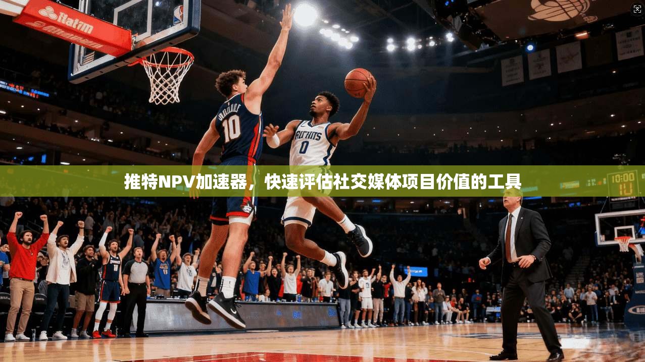 推特NPV加速器,快速评估社交媒体项目价值的工具 第1张 推特NPV加速器,快速评估社交媒体项目价值的工具 第1张