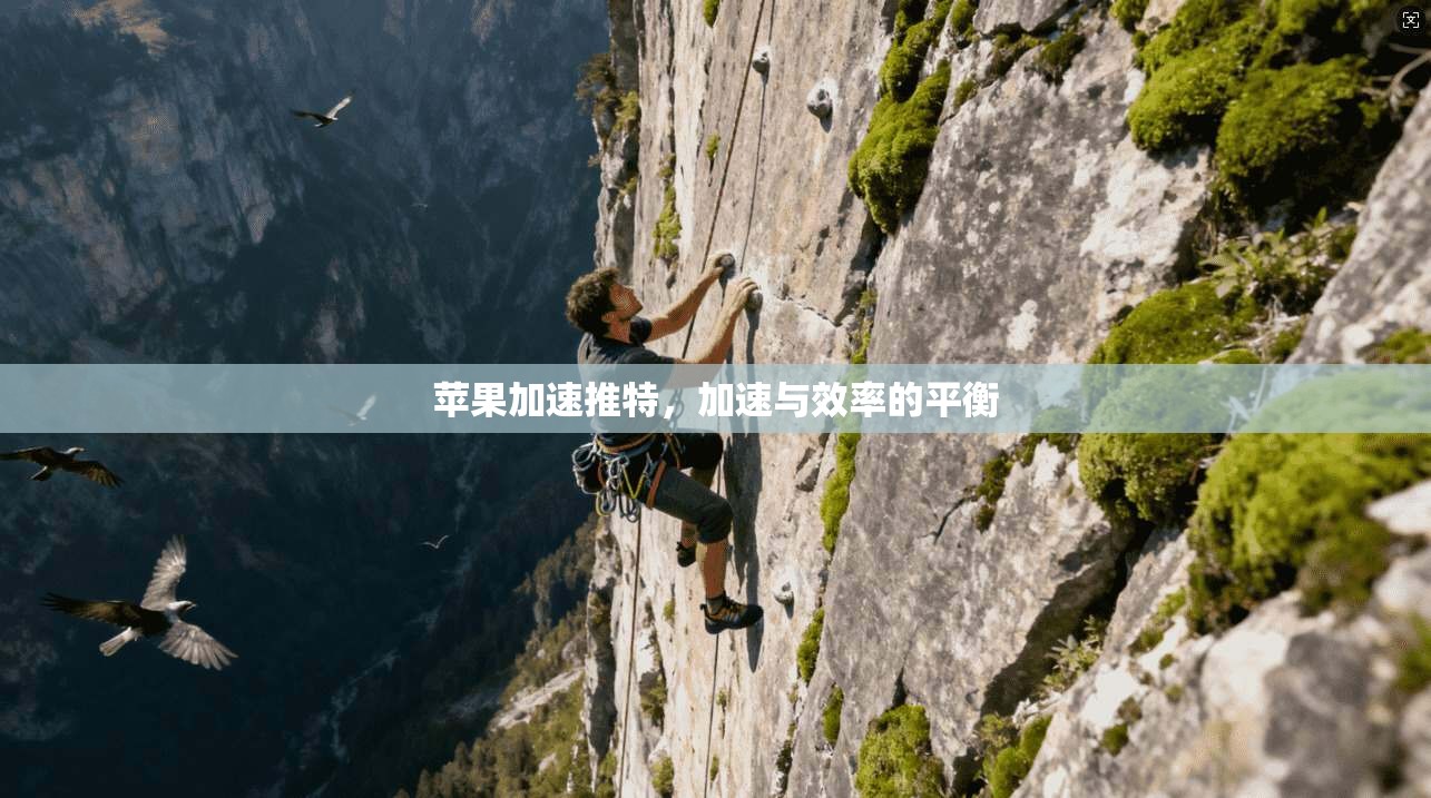 苹果加速推特，加速与效率的平衡