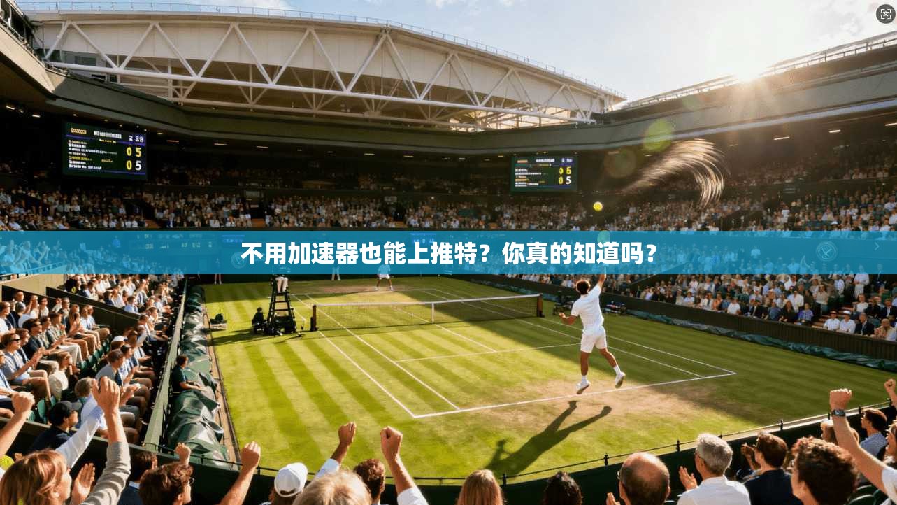 不用加速器也能上推特?你真的知道吗? 第1张 不用加速器也能上推特?你真的知道吗? 第1张
