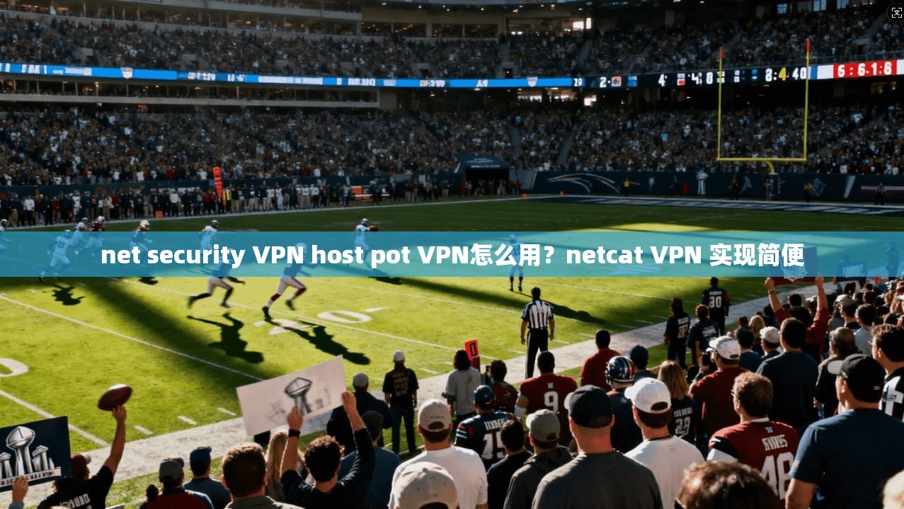 net security VPN host pot VPN怎么用?netcat VPN 实现简便