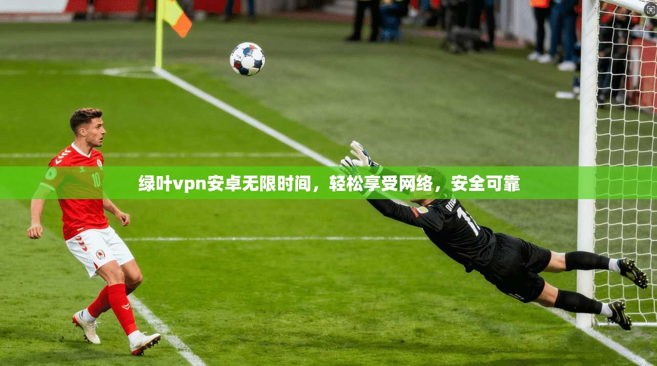 绿叶vpn安卓无限时间，轻松享受网络，安全可靠