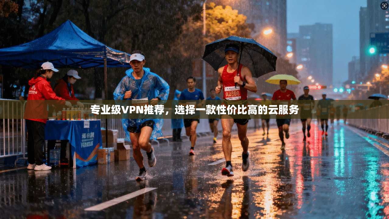 专业级VPN推荐，选择一款性价比高的云服务